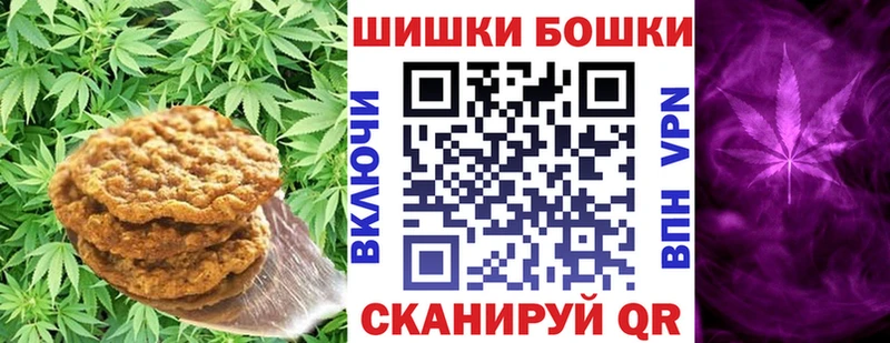 где продают Севск Cannafood конопля