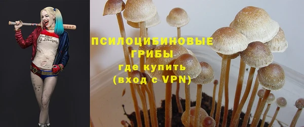 альфа пвп Богородицк
