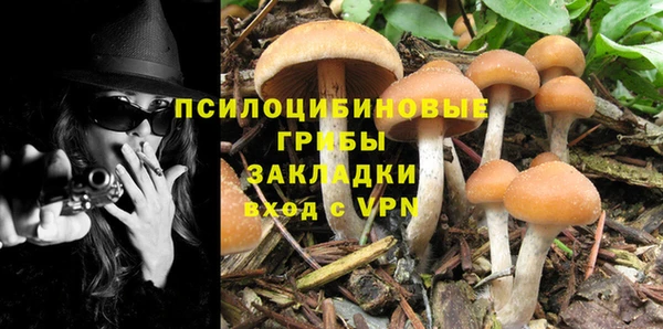 бутират Богданович