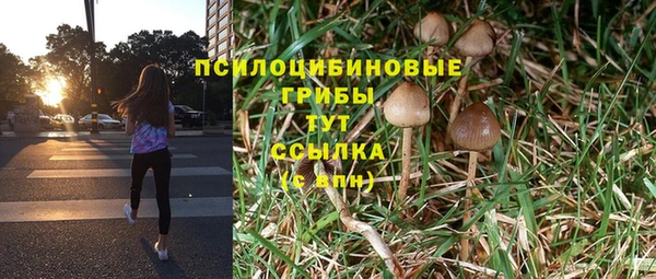 альфа пвп Богородицк