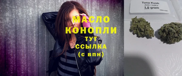 дмт Сатка